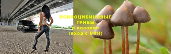 тгк Сатка