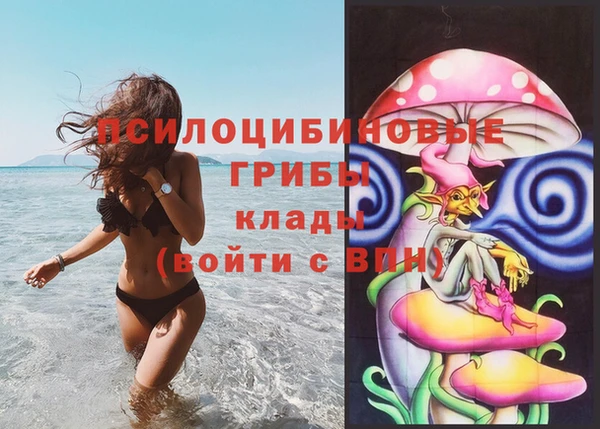 тгк Сатка
