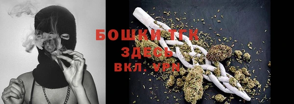 тгк Сатка